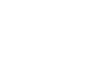 Ferns_N_Petals_Logo.webp